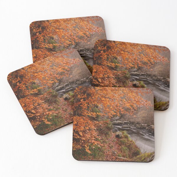Item preview, Leaves and Lichen designed and sold by photosbymia.