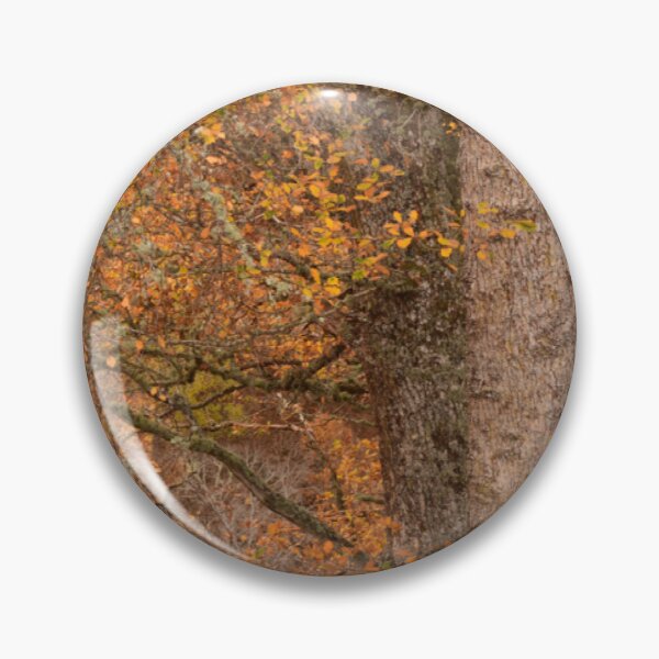 Item preview, Leaves and Lichen designed and sold by photosbymia.