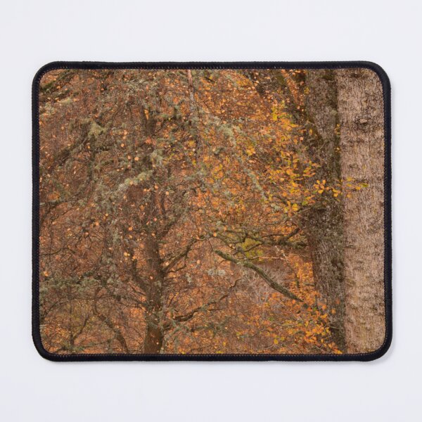 Item preview, Leaves and Lichen designed and sold by photosbymia.