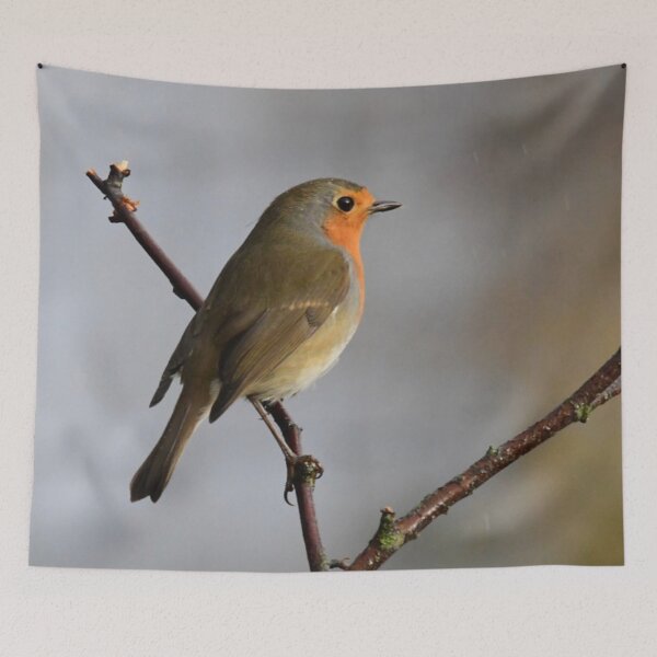 Item preview, Little Robin Red Breast designed and sold by photosbymia.