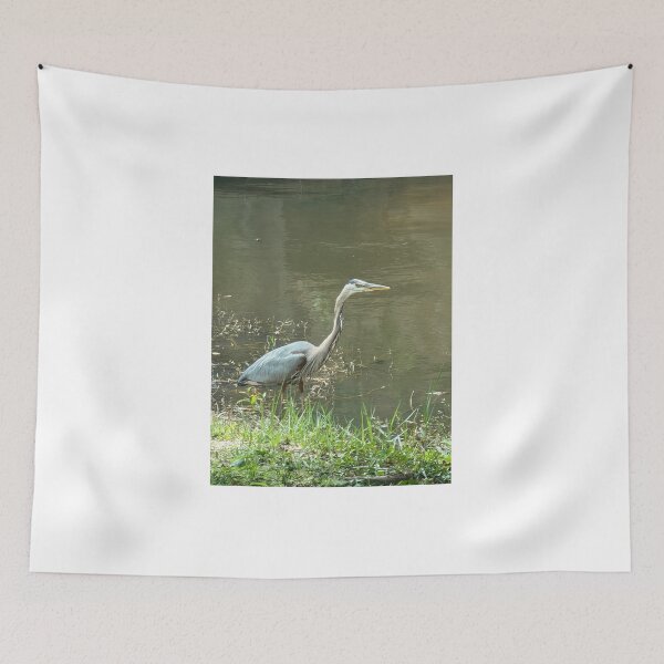 Item preview, Great Blue Heron Wading in Tranquil Waters. designed and sold by Pearls1.