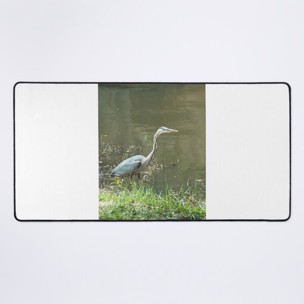 Item preview, Great Blue Heron Wading in Tranquil Waters. designed and sold by Pearls1.