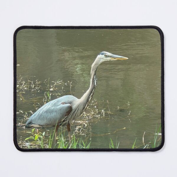 Item preview, Great Blue Heron Wading in Tranquil Waters. designed and sold by Pearls1.