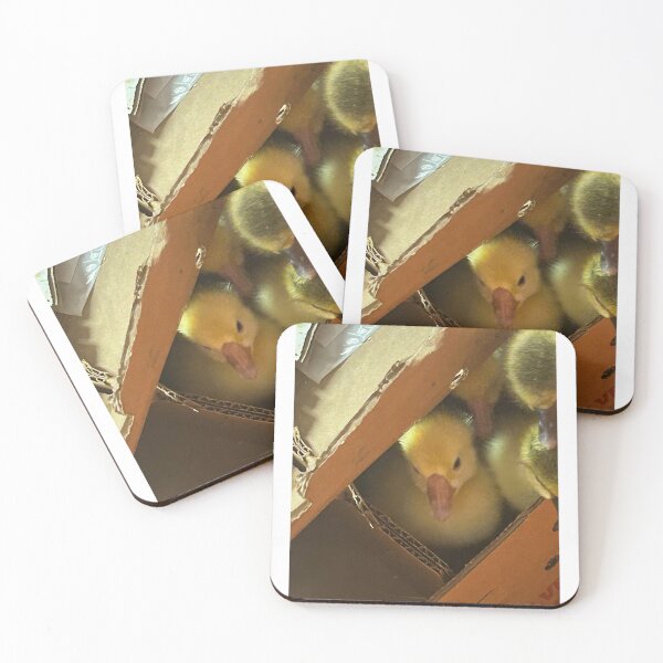Item preview, Little Peepers: Baby Ducklings in a Box. designed and sold by Pearls1.