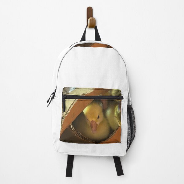 Item preview, Little Peepers: Baby Ducklings in a Box. designed and sold by Pearls1.