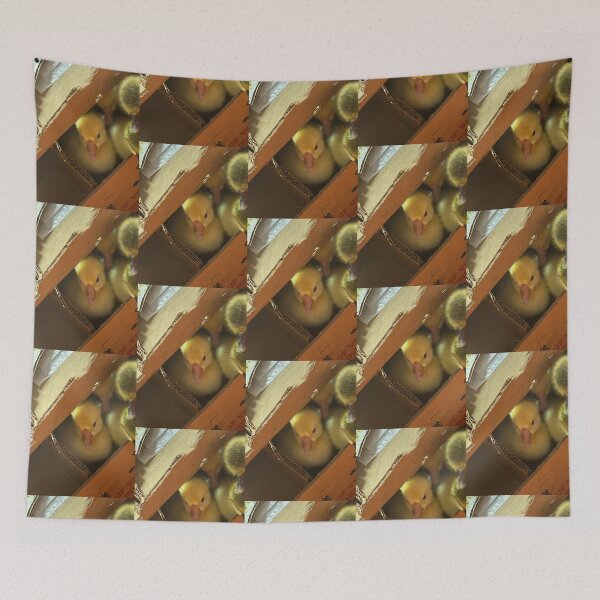 Item preview, Little Peepers: Baby Ducklings in a Box. designed and sold by Pearls1.