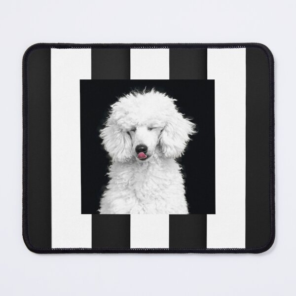 Item preview, Minimalist White Poodle Black and White Stripes designed and sold by MusePortrait.