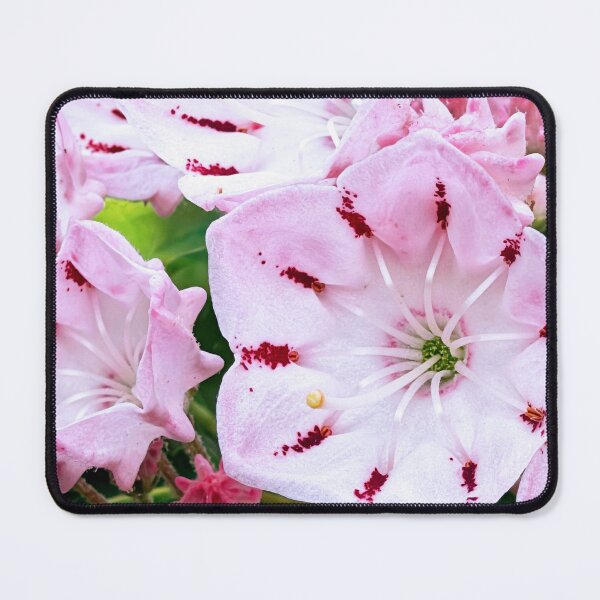 Item preview, Mountain Laurel designed and sold by DDLeach.