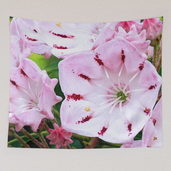 Item preview, Mountain Laurel designed and sold by DDLeach.