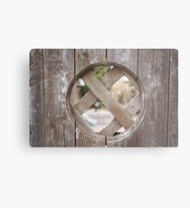 Gate Metal Print