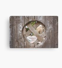 Gate Canvas Print