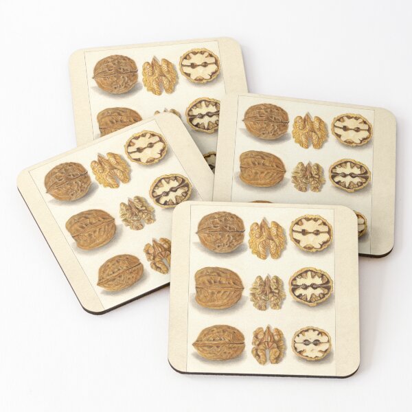 Item preview, Vintage Walnut Botanical Study designed and sold by Glimmersmith.
