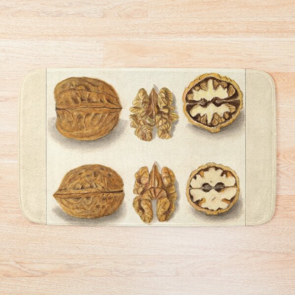 Item preview, Vintage Walnut Botanical Study designed and sold by Glimmersmith.