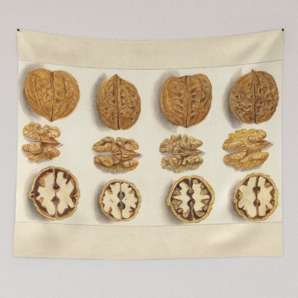 Item preview, Vintage Walnut Botanical Study designed and sold by Glimmersmith.