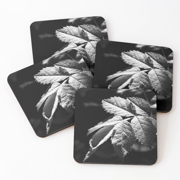 Item preview, Sunlit Leaves In Black & White designed and sold by DDLeach.
