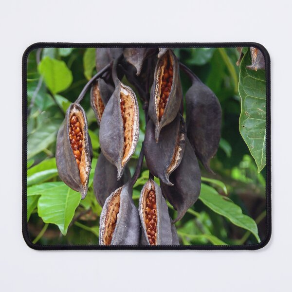 Item preview, Seed Pods Ready to Drop! designed and sold by heatherfriedman.