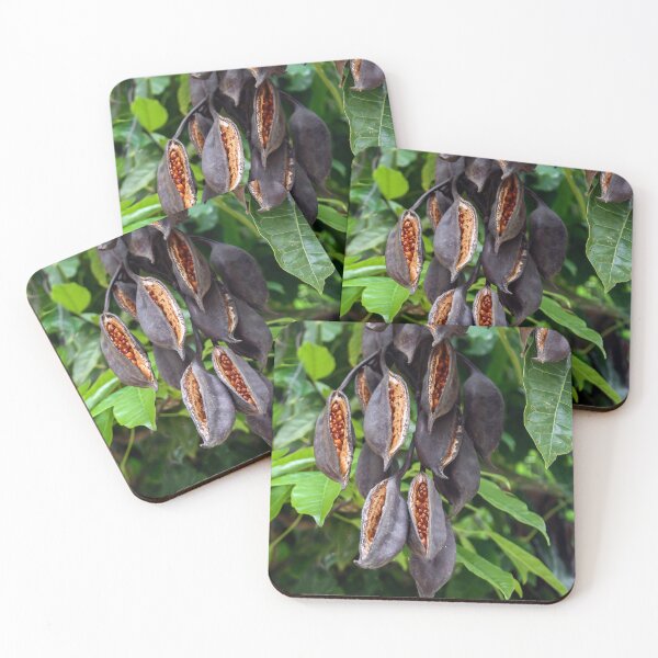Item preview, Seed Pods Ready to Drop! designed and sold by heatherfriedman.