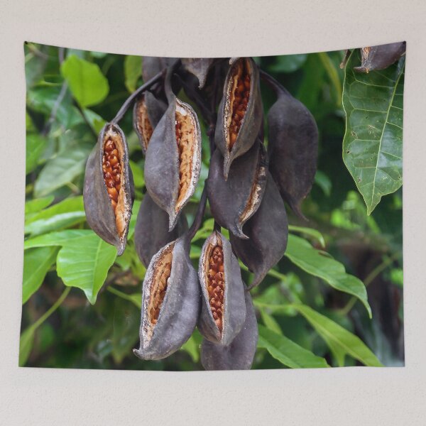 Item preview, Seed Pods Ready to Drop! designed and sold by heatherfriedman.