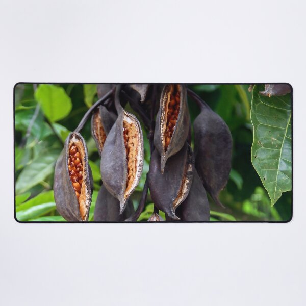 Item preview, Seed Pods Ready to Drop! designed and sold by heatherfriedman.