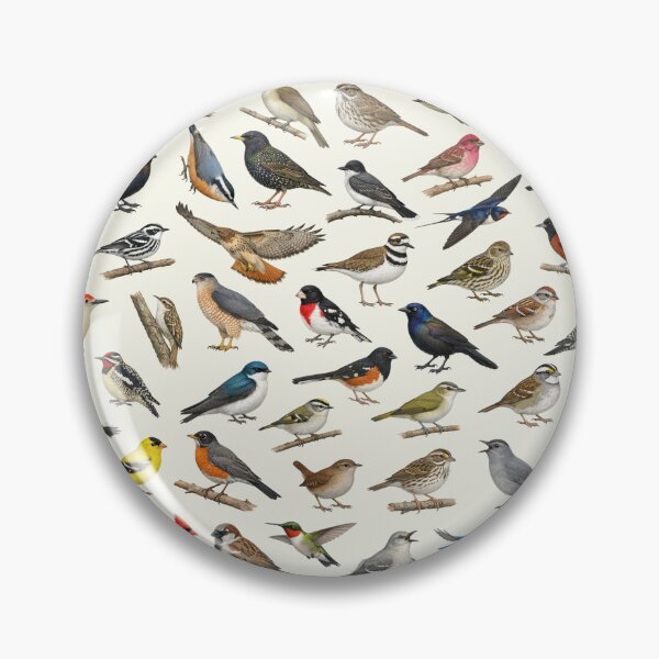 Item preview, Backyard Birds of Pennsylvania Ornithology Identification Chart designed and sold by kakarikihill.