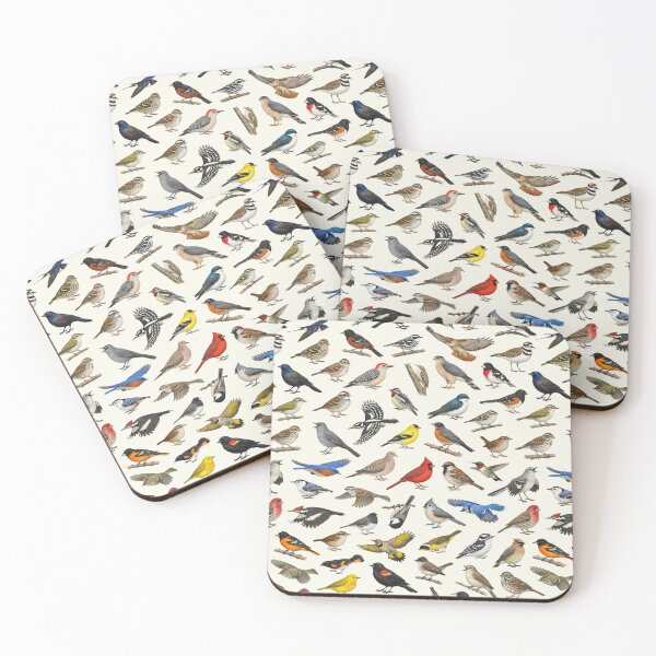 Item preview, Backyard Birds of Pennsylvania Ornithology Identification Chart designed and sold by kakarikihill.