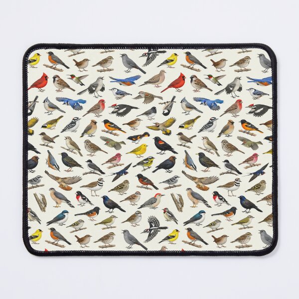Item preview, Backyard Birds of Pennsylvania Ornithology Identification Chart designed and sold by kakarikihill.