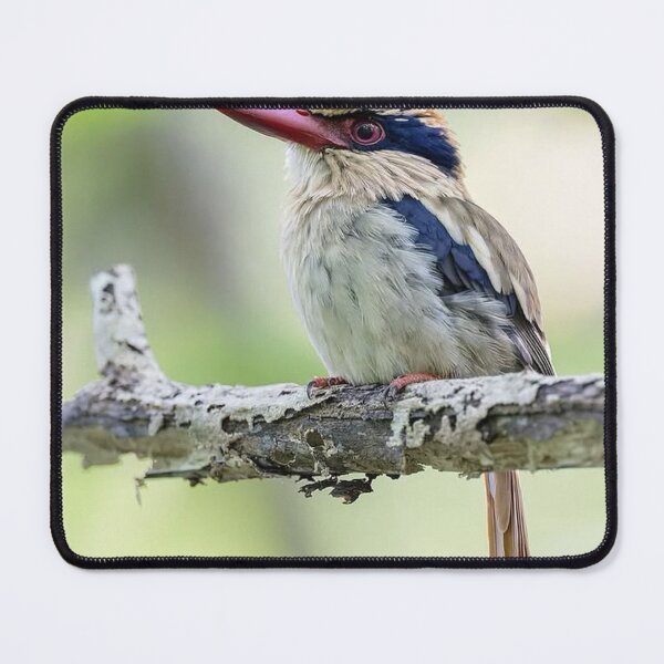 Item preview, Calm Cipa Segurança fWaterside Glory designed and sold by Mahumlifestyle.
