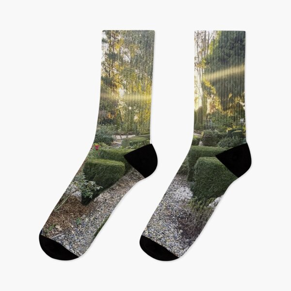 Artikelvorschau, Bunte Gartenlaternen von Continental Reifen Deutschland entworfen und verkauft von Heerwhiteshirt.