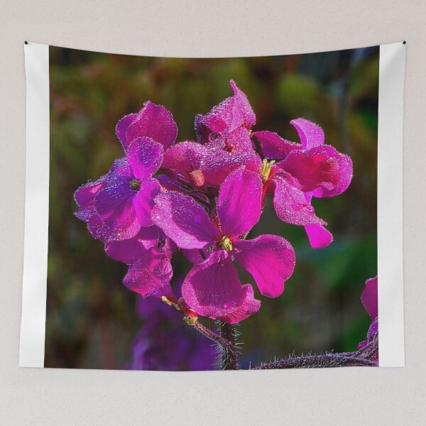 Item preview, Tranquil University Of Zurich bBamboo Grove designed and sold by Heerwhiteshirt.