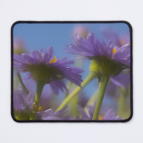 Item preview, Misty Asters designed and sold by Cblifeisgood.