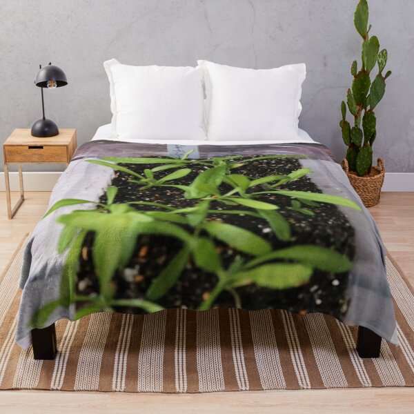 Item preview, Vibrant The Royal Albert Hall Vegetable Patch designed and sold by Heerwhiteshirt.