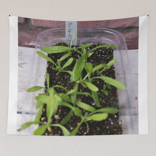 Item preview, Vibrant The Royal Albert Hall Vegetable Patch designed and sold by Heerwhiteshirt.