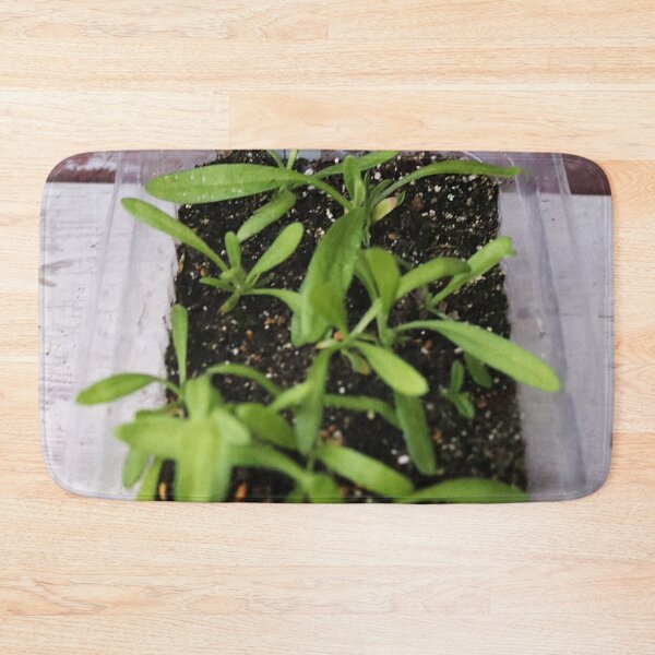 Item preview, Vibrant The Royal Albert Hall Vegetable Patch designed and sold by Heerwhiteshirt.