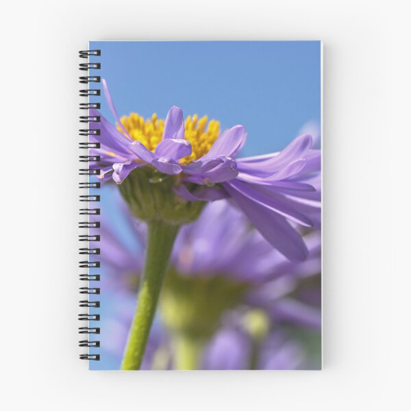 Item preview, Side view of Aster  designed and sold by Cblifeisgood.