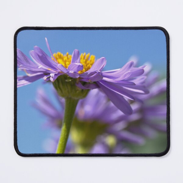 Item preview, Side view of Aster  designed and sold by Cblifeisgood.