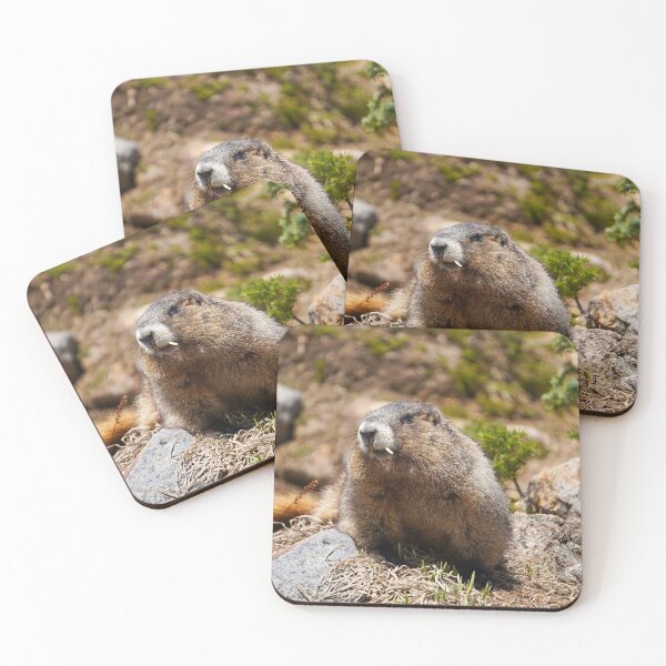 Item preview, Cute Marmot designed and sold by MCCLSHOP.