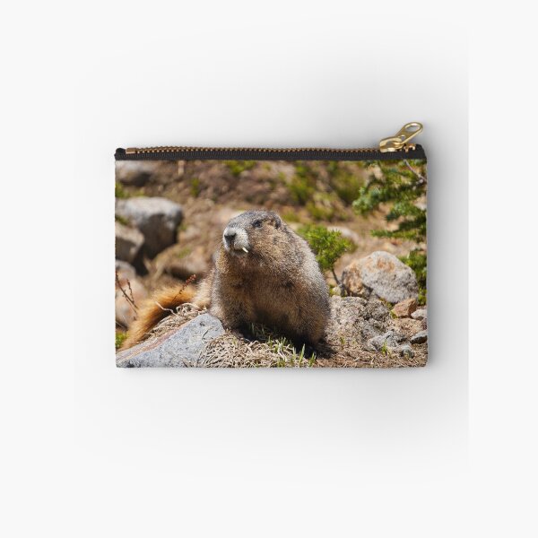 Item preview, Cute Marmot designed and sold by MCCLSHOP.