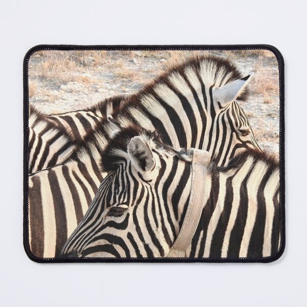 Item preview, Black and White Striped Zebra in Africa designed and sold by jaynerushton.