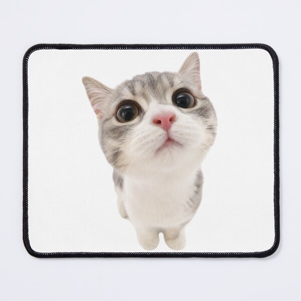 Item preview, Big Eyed Curious Cat Cute Pet Lover Aesthetic designed and sold by bosamji.
