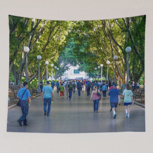 Artikelvorschau, Menschenmassen im Hyde Park, Sydney | Ikonische, von Bäumen gesäumte Promenade, New South Wales, Australien – Street-Life-Kunst entworfen und verkauft von Ross.A.Campbell.