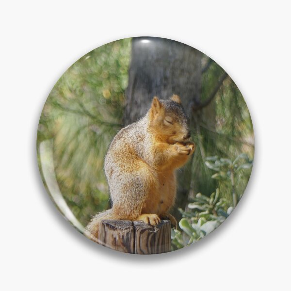 Item preview, A Forest Prayer - Little Squirrel in Meditation designed and sold by sky earth human.