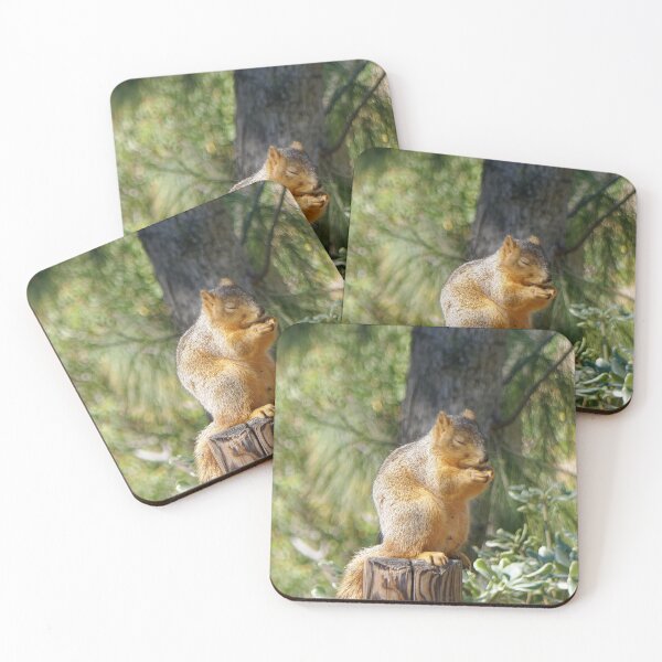 Item preview, A Forest Prayer - Little Squirrel in Meditation designed and sold by sky earth human.