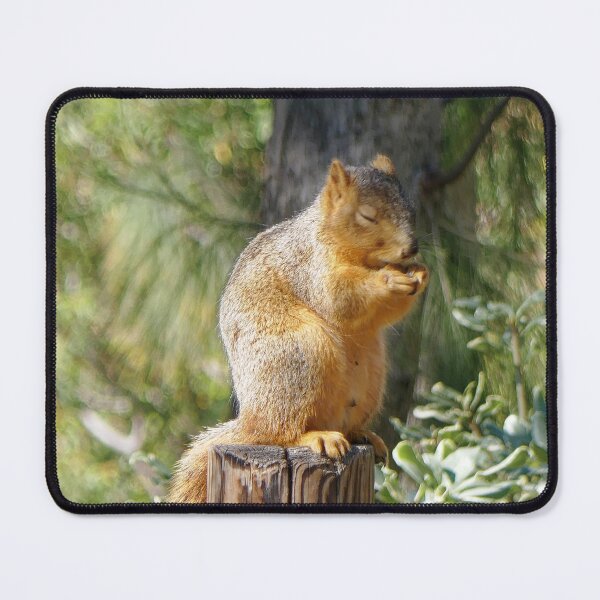 Item preview, A Forest Prayer - Little Squirrel in Meditation designed and sold by sky earth human.