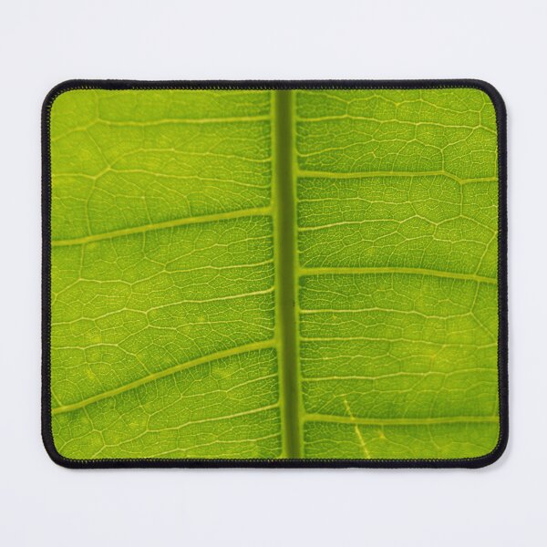 Item preview, Closeup Shot of a Leaf Texture designed and sold by ROSE ANN BANILAR.