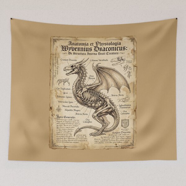 Item preview, Anatomy Of A Wyvern Dragon Skeletal Vintage Diagram designed and sold by SplashTastic.