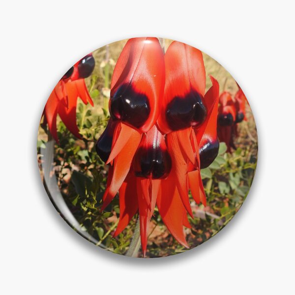 Item preview, STURT'S DESERT PEA (WILDFLOWER) designed and sold by AussieAl.