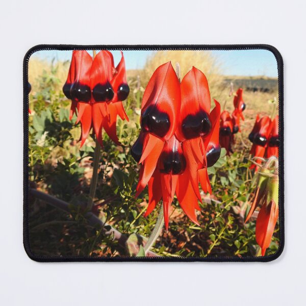 Item preview, STURT'S DESERT PEA (WILDFLOWER) designed and sold by AussieAl.