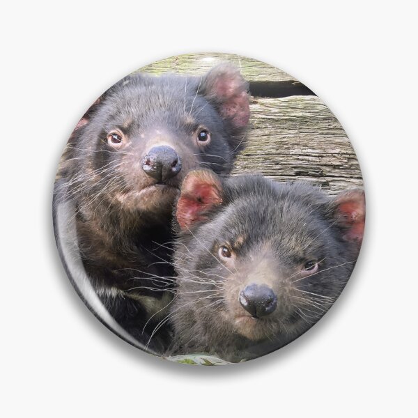 Item preview, Tasmanian Devils designed and sold by pawprintz.
