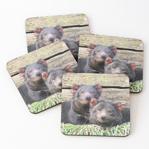 Item preview, Tasmanian Devils designed and sold by pawprintz.