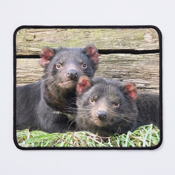 Item preview, Tasmanian Devils designed and sold by pawprintz.